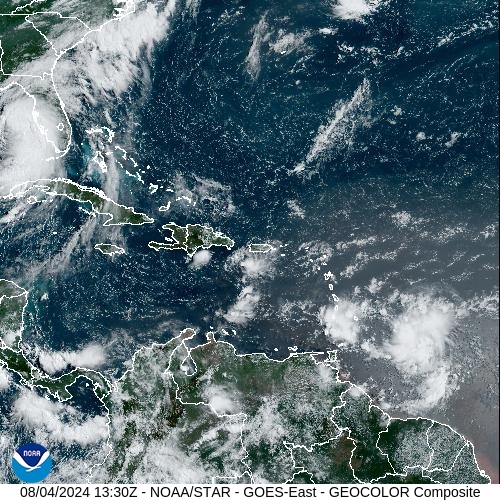 Satellite - Alizes Ouest - Sun 04 Aug 10:30 EDT