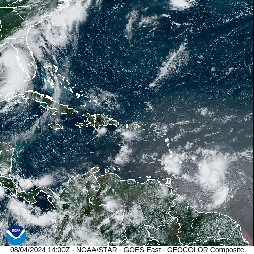Satellite - Lesser Antilles - Sun 04 Aug 11:00 EDT