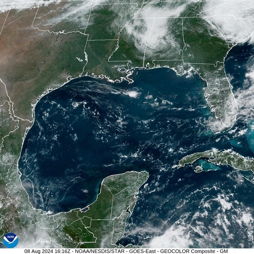 Satellite -  - Thu 08 Aug 13:16 EDT