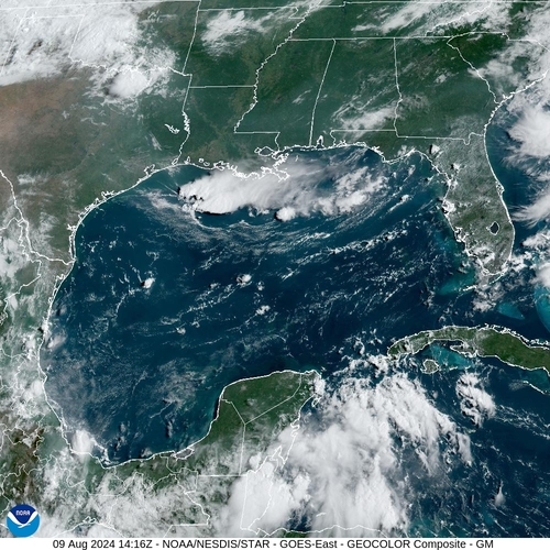 Satellite -  - Fri 09 Aug 11:16 EDT