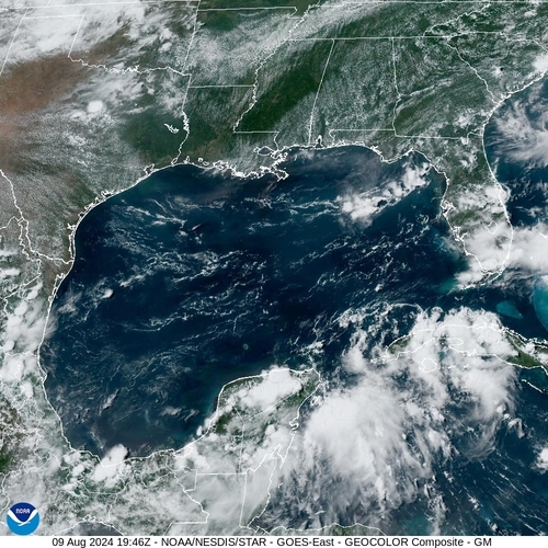 Satellite -  - Fri 09 Aug 16:46 EDT