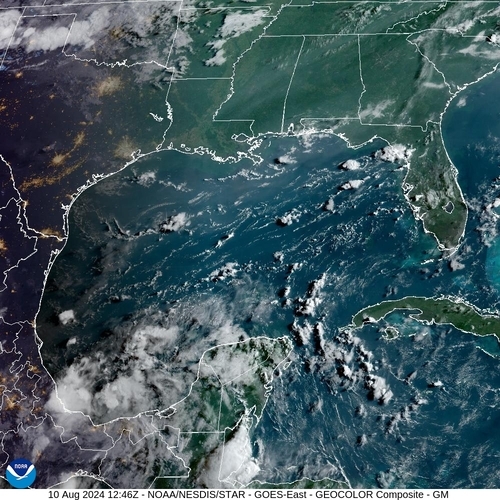 Satellite -  - Sat 10 Aug 09:46 EDT