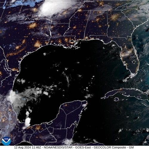 Satellite -  - Mon 12 Aug 08:46 EDT