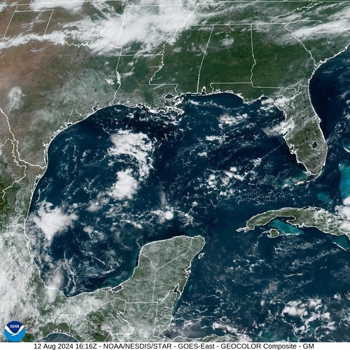 Satellite -  - Mon 12 Aug 13:16 EDT