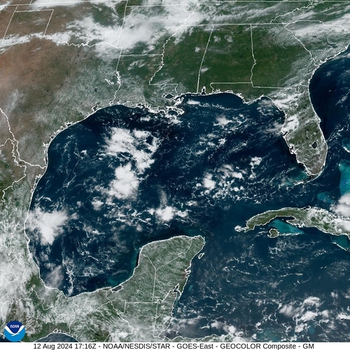 Satellite -  - Mon 12 Aug 14:16 EDT