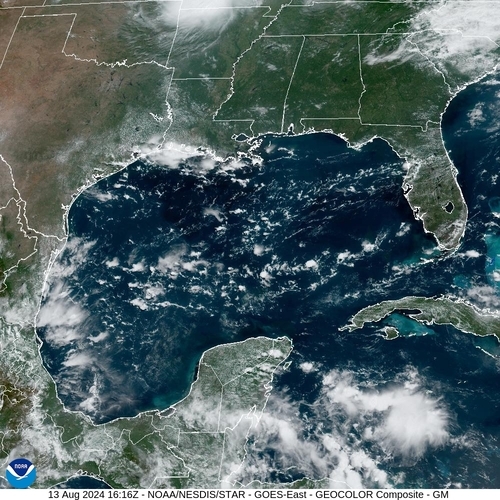 Satellite -  - Tue 13 Aug 13:16 EDT