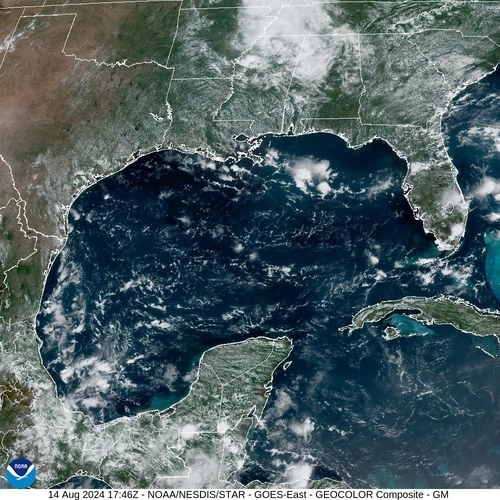 Satellite -  - Wed 14 Aug 14:46 EDT