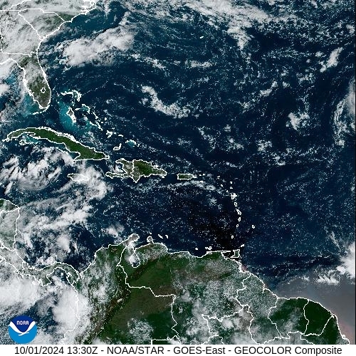 Satellite - Lesser Antilles - Tue 01 Oct 10:30 EDT