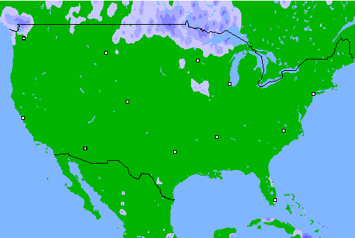 Precipitation (24 h) USA